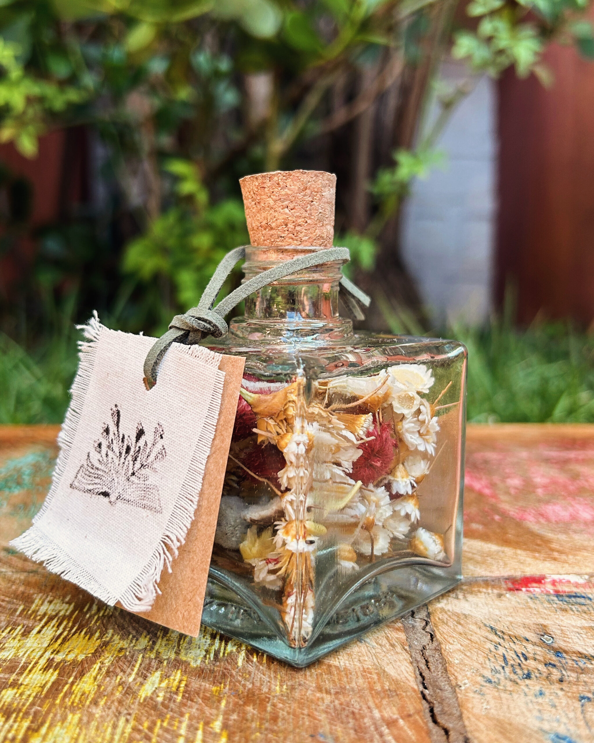 Anastácia - Imagem 5